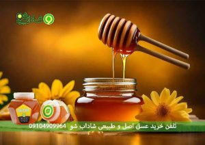 فواید و مضرات عسل