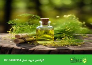 شوید برای تب شاداب شو 