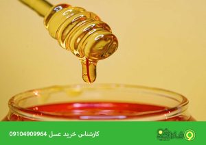 تاثیر شوید برای لاغری