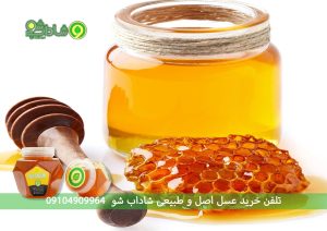 بررسی خواص عسل زول برای دیابت