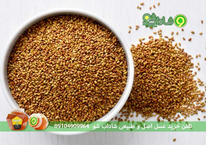 تاریخچه خواص بذر یونجه