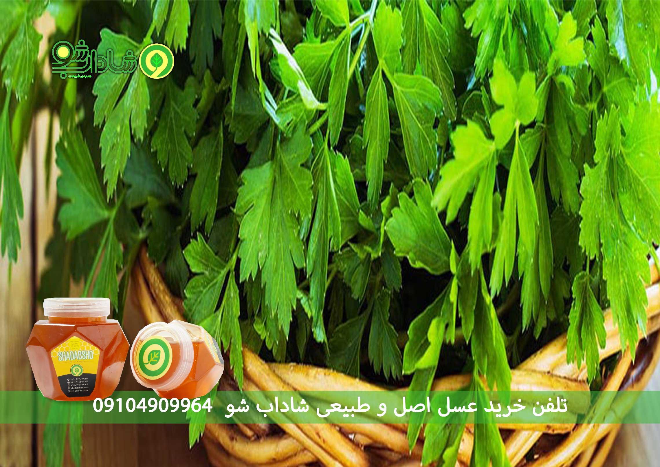 خواص گشنیز برای مردان