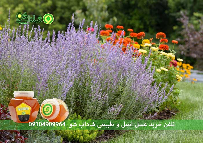 خواص عسل مریم گلی برای زنان