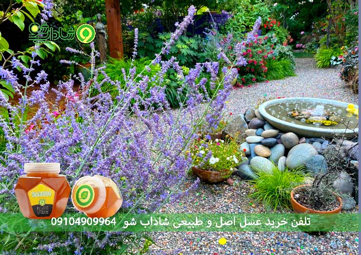 خواص مریم گلی برای مردان