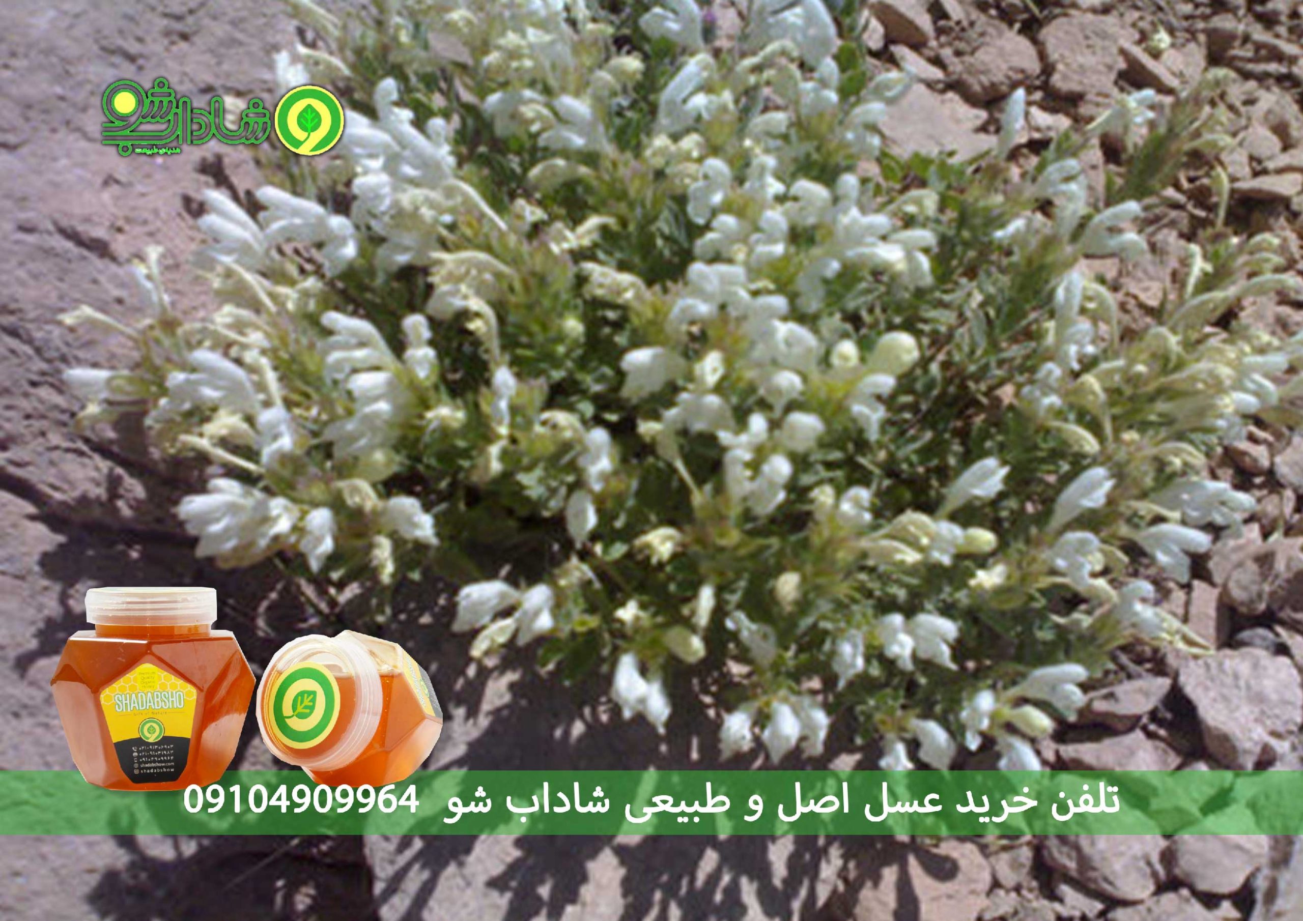 خواص سرکه انگبین برای پوست