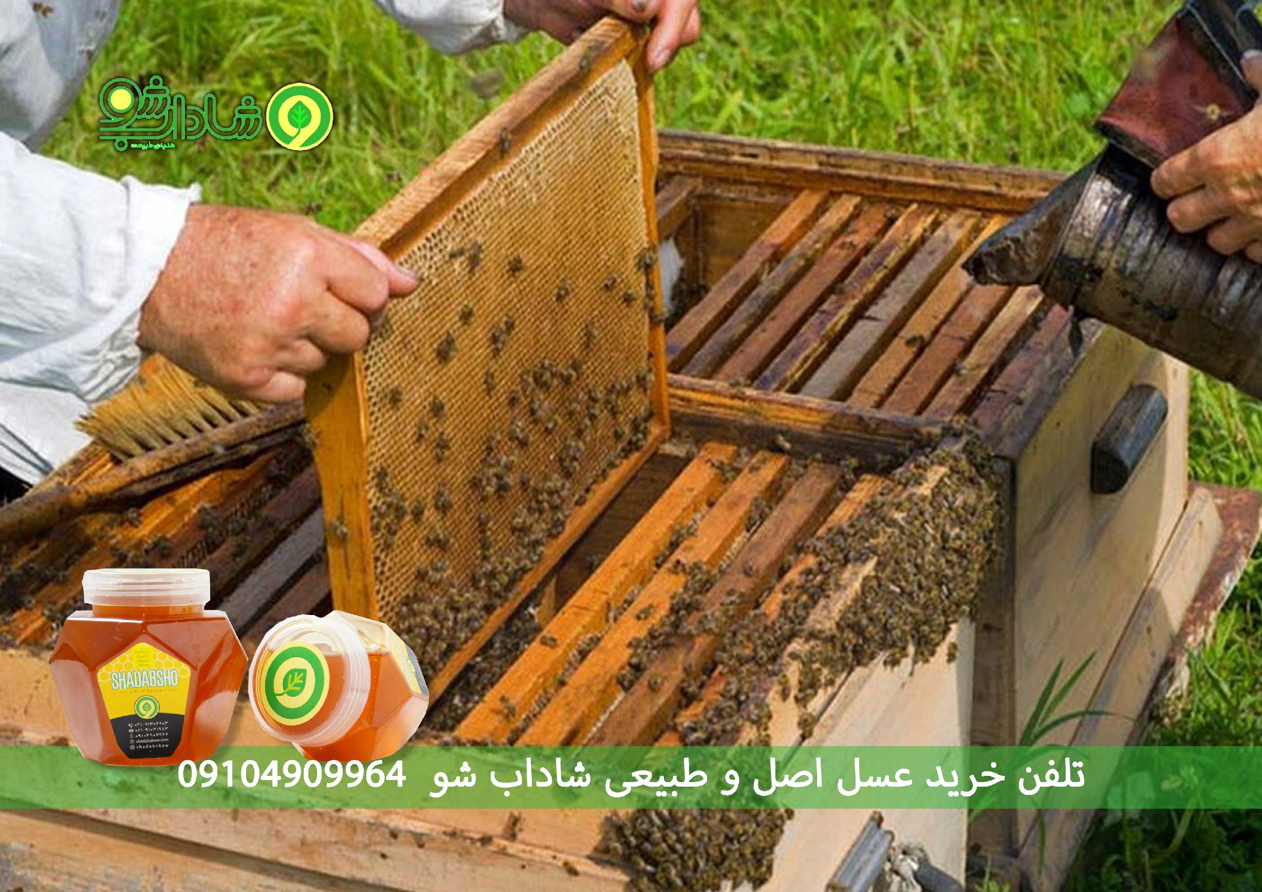 عسل آلفا برای تقویت سیستم ایمنی