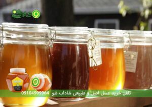 عسل کنار بهتره یا عسل گون