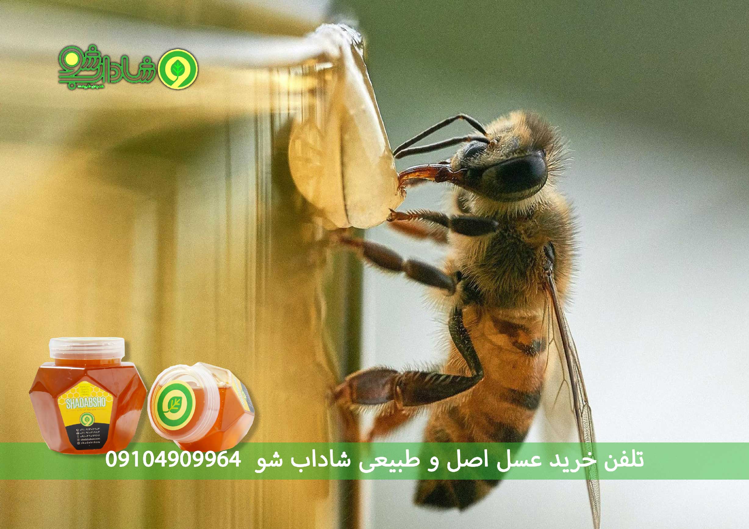 خواص عسل برای تنظیم فشار خون