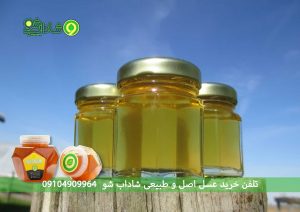 خرید عسل ارگانیک طلای شیرین طبیعت